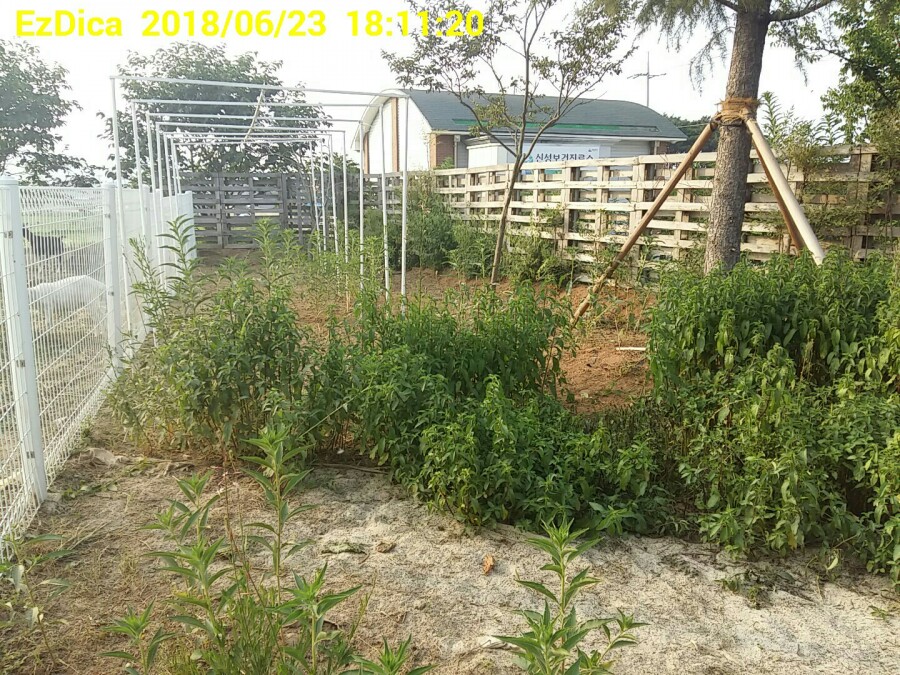 분홍염소체험교육농장 이미지