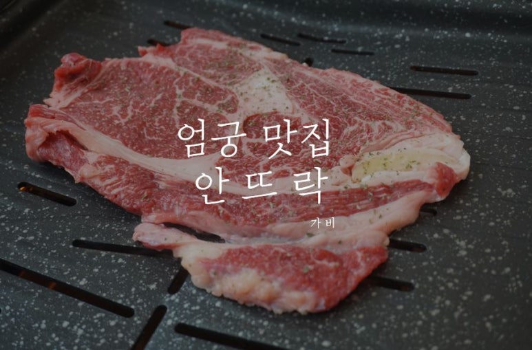 안뜨락 이미지