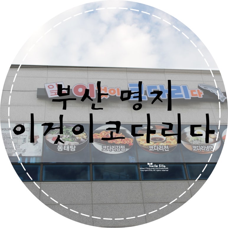 이것이코다리다 이미지
