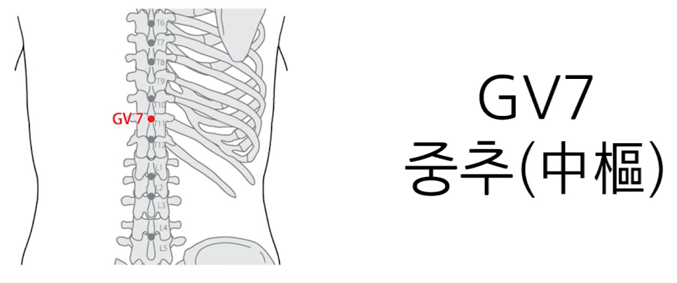 강통신 이미지