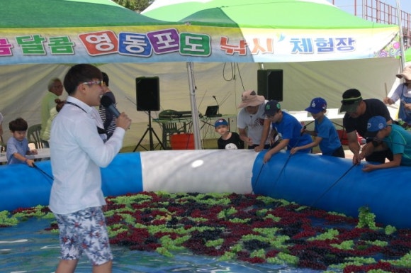 영동체육관 이미지