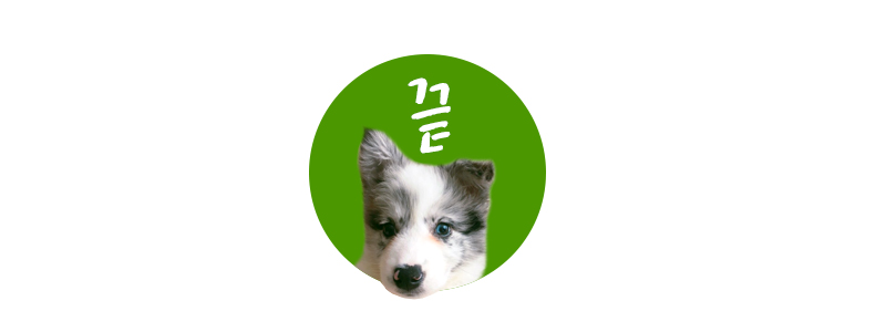 개가 사는 그집 이미지