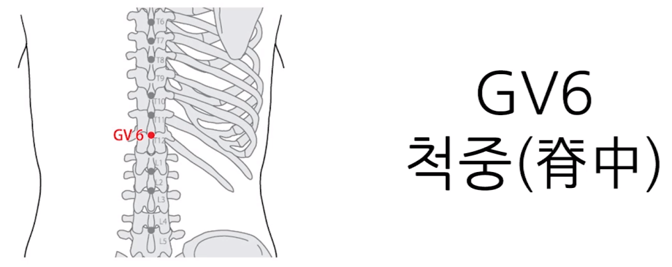 강통신 이미지