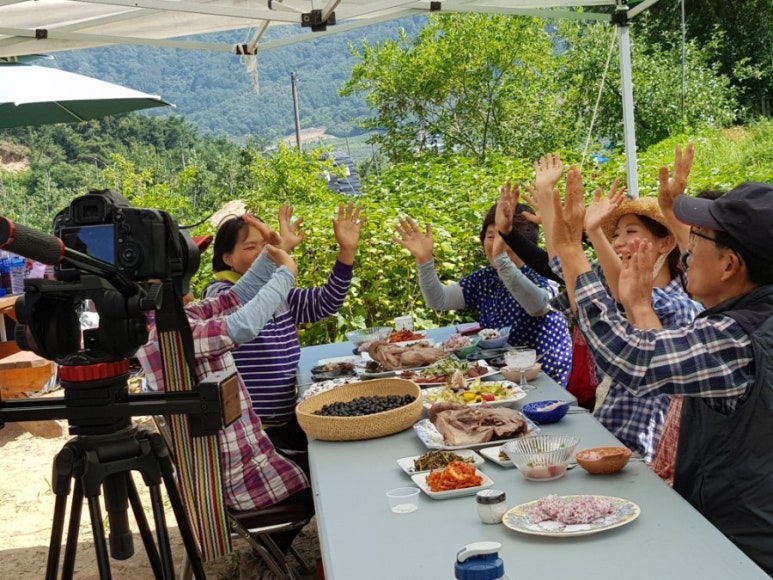 내고향도우미 이미지