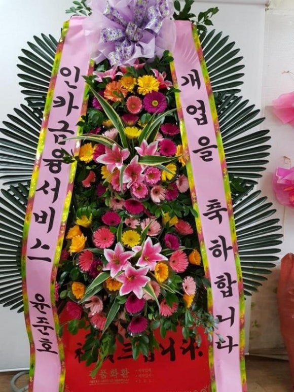 진도꽃집 이미지