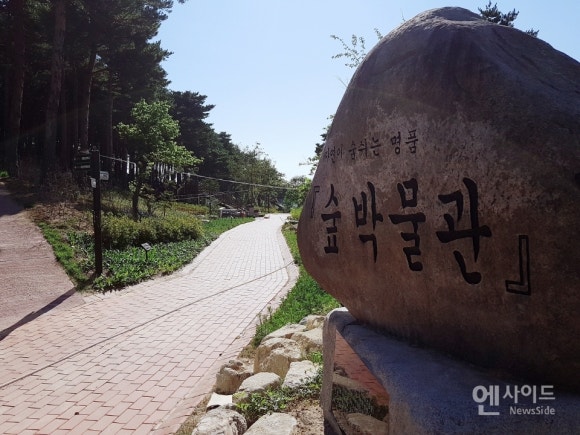 천연숲조경 이미지