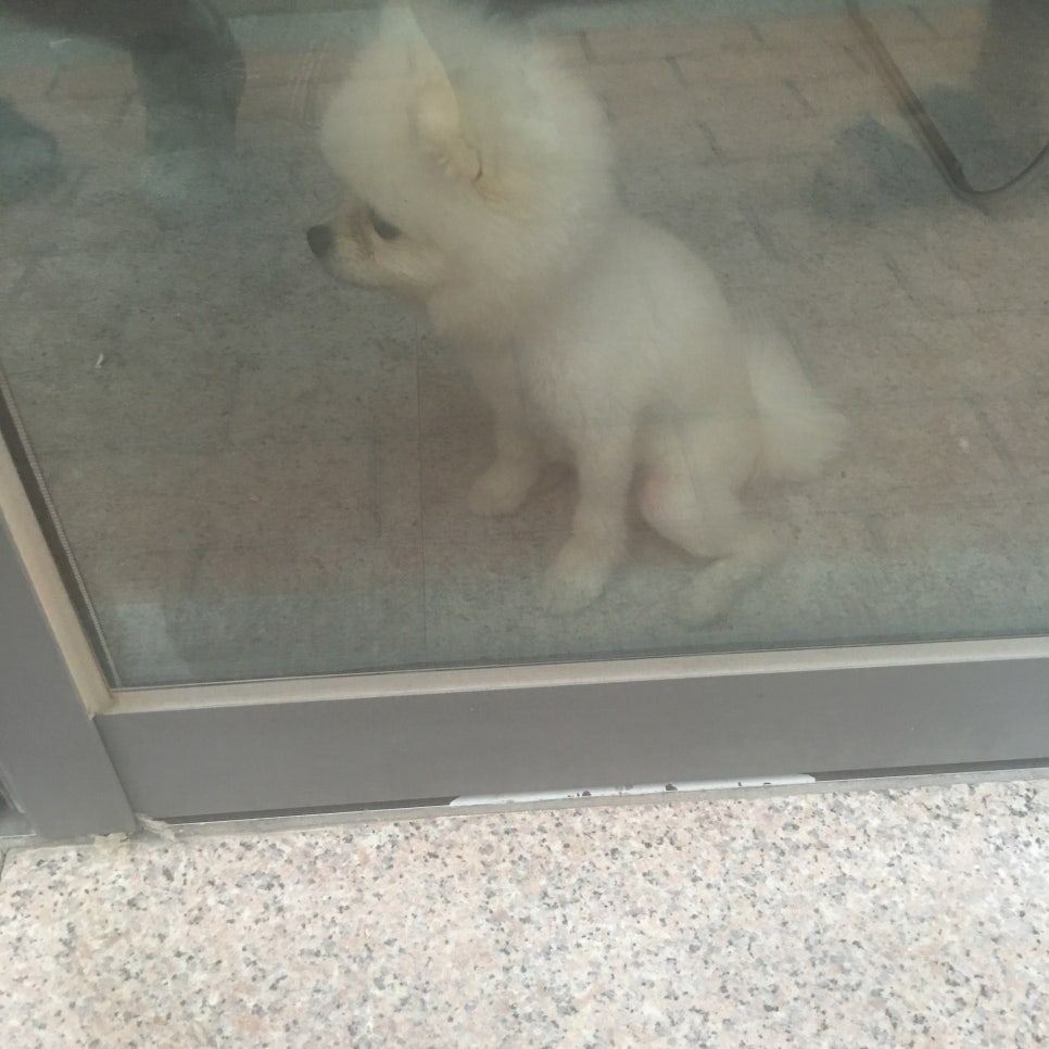 미그린미용실 이미지