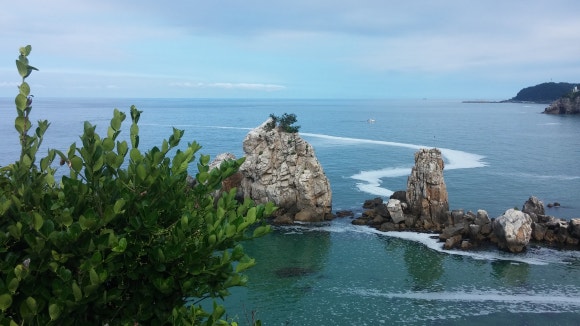 독산장례식장 이미지