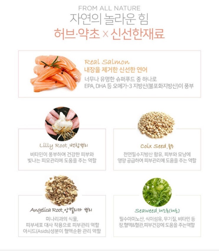 캣앤뷰티 이미지