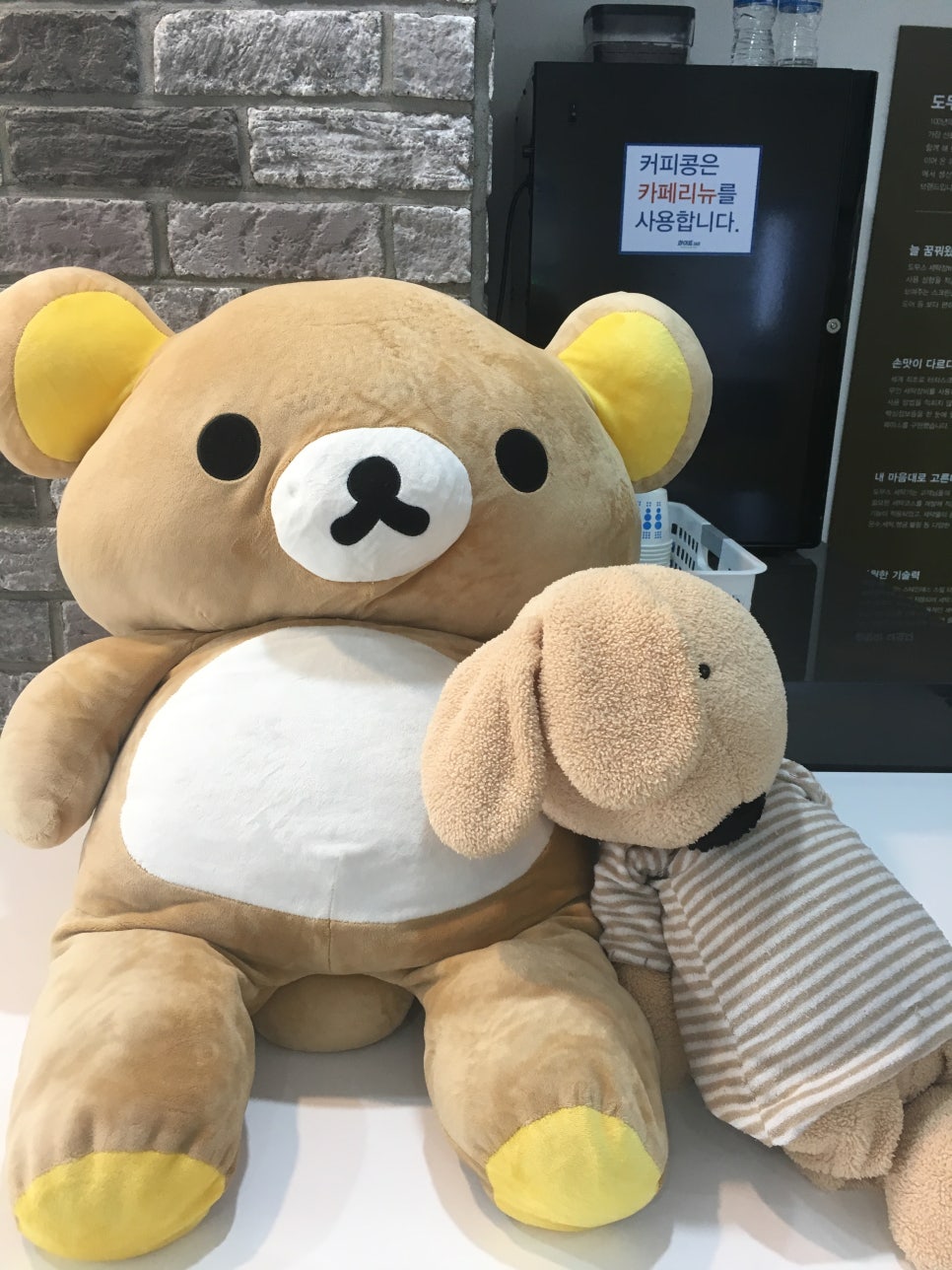 화이트365울산 이미지
