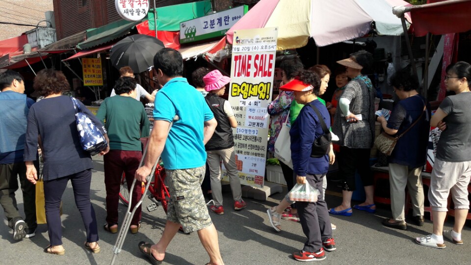 고분계란 이미지
