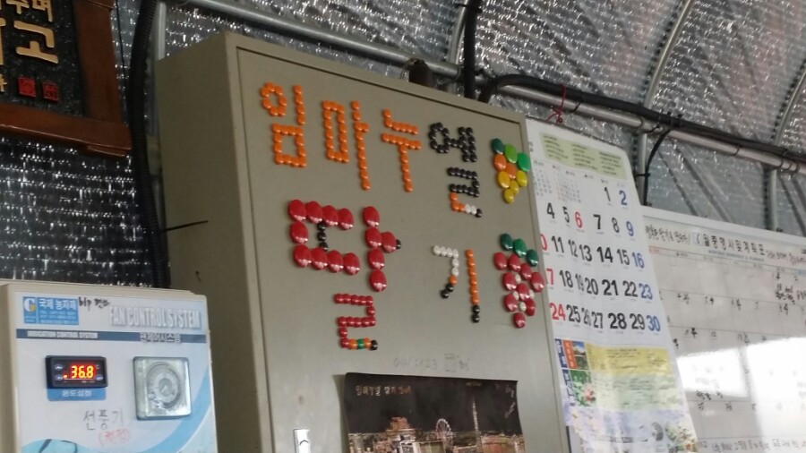 임마누엘 농장 이미지