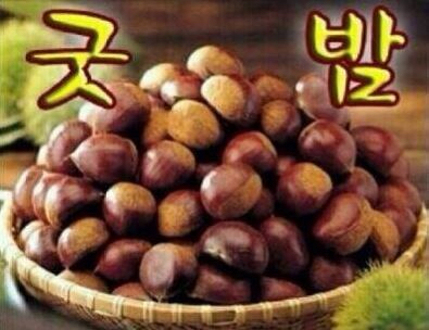 디피스트 이미지