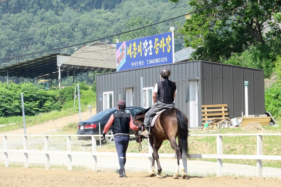 세종시장군승마장 이미지