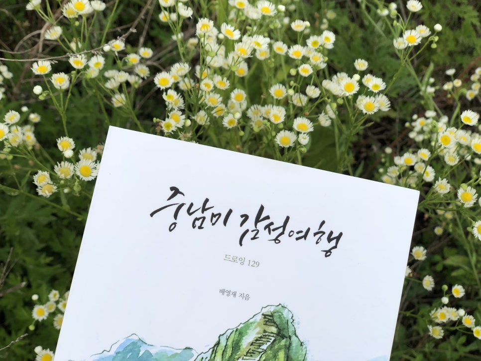 에세이피부과 이미지