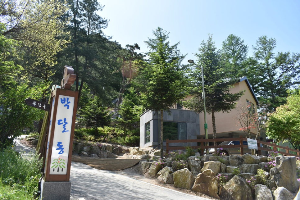박달재자연휴양림야영장 이미지