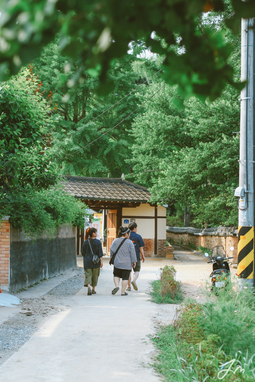 전남산림문화연구소 이미지