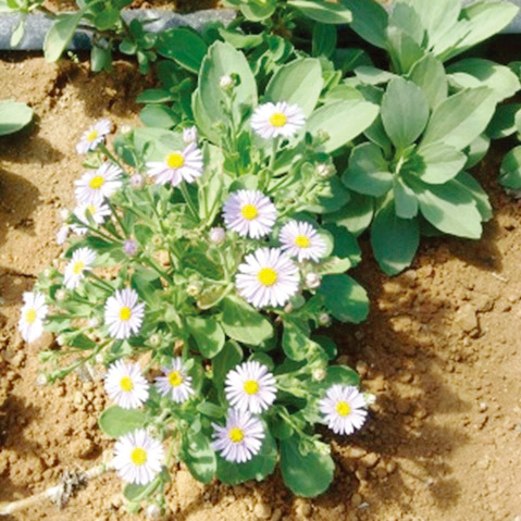 (주)뉴트리 이미지
