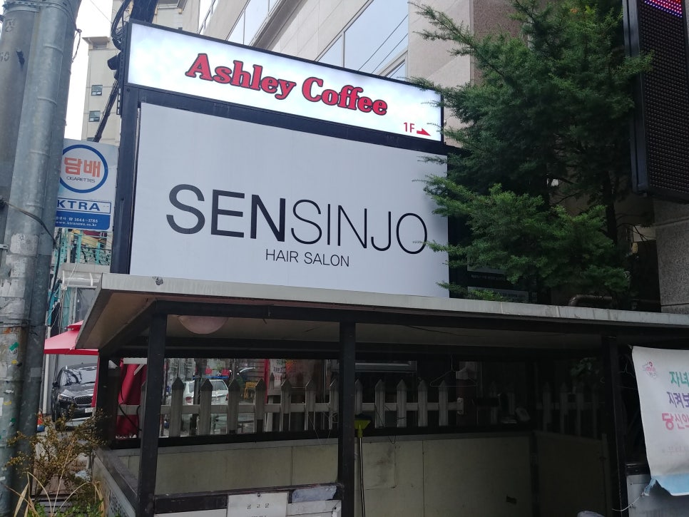 남자머리는센신조 이미지