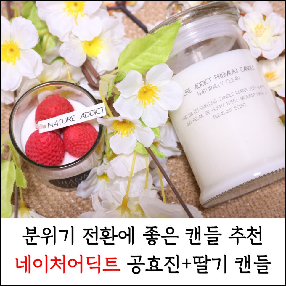 네이처어딕트 이미지