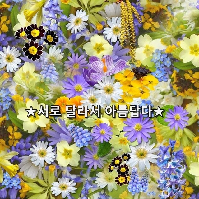 대한힐링 이미지