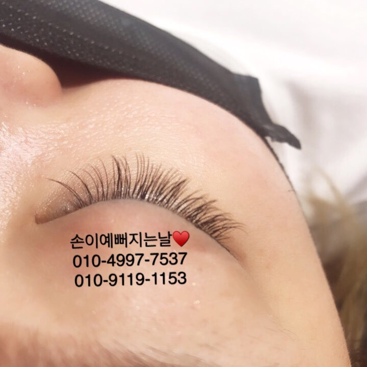 손이예쁜날 이미지
