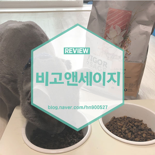 캣앤뷰티 이미지