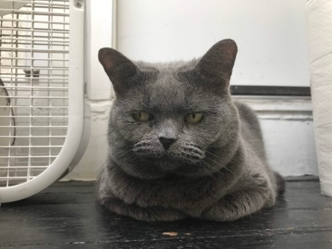 레드볼하우스 이미지