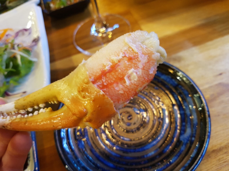 바다 바라기 이미지