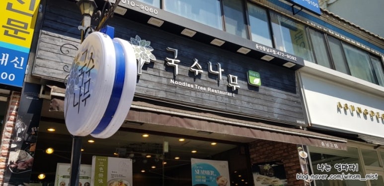 국수나무충남 이미지