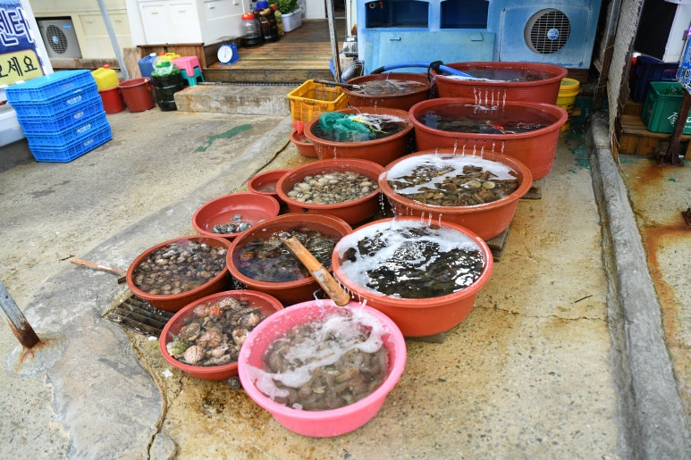 신선횟집 이미지