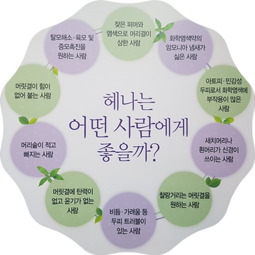 엘샤론코리아 이미지