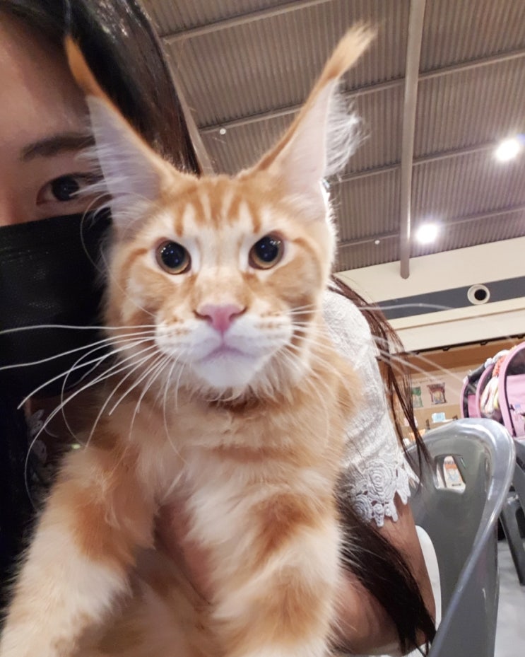 슬로브 이미지