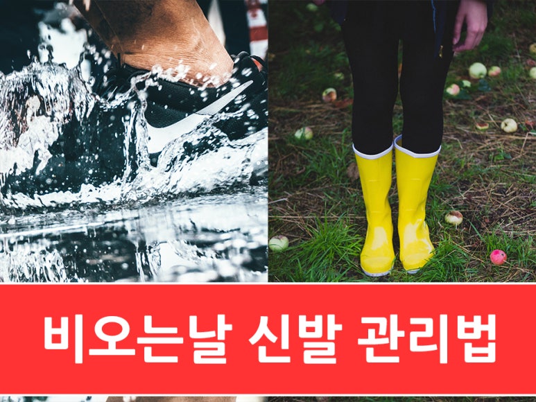 안앤리 이미지