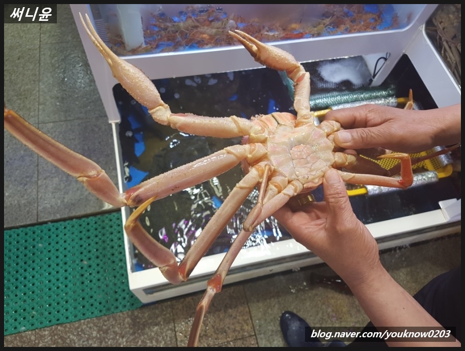 정아수산 이미지