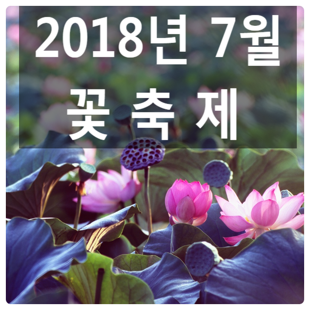 궁남로7 이미지