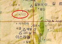 도단도단 이미지