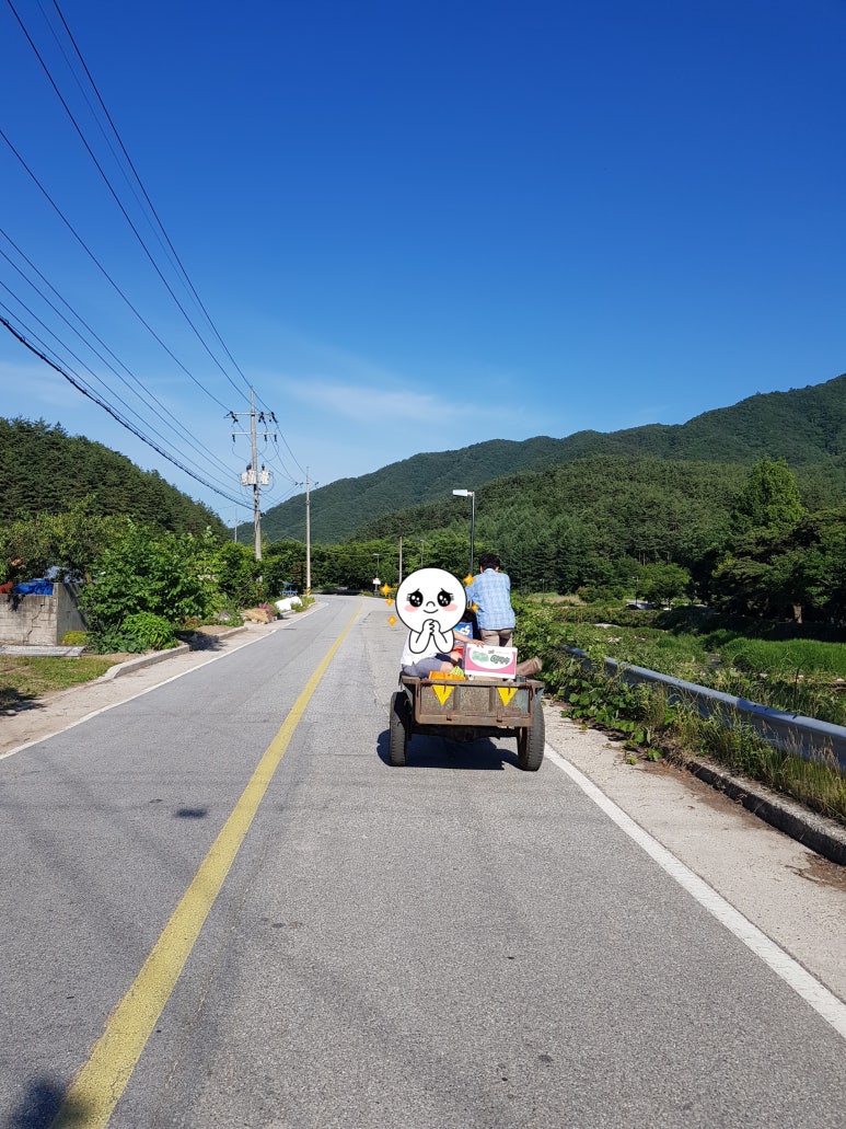 월성민박 이미지