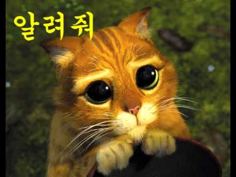 디플리 이미지