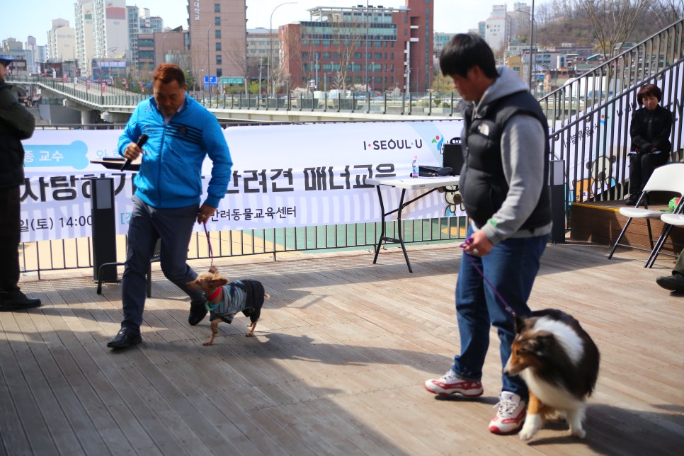 함께교육 이미지