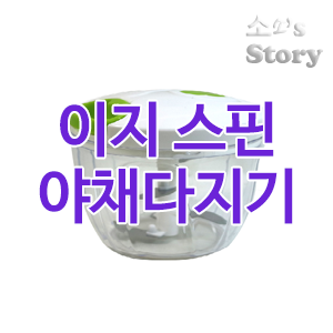 이지스핀 이미지