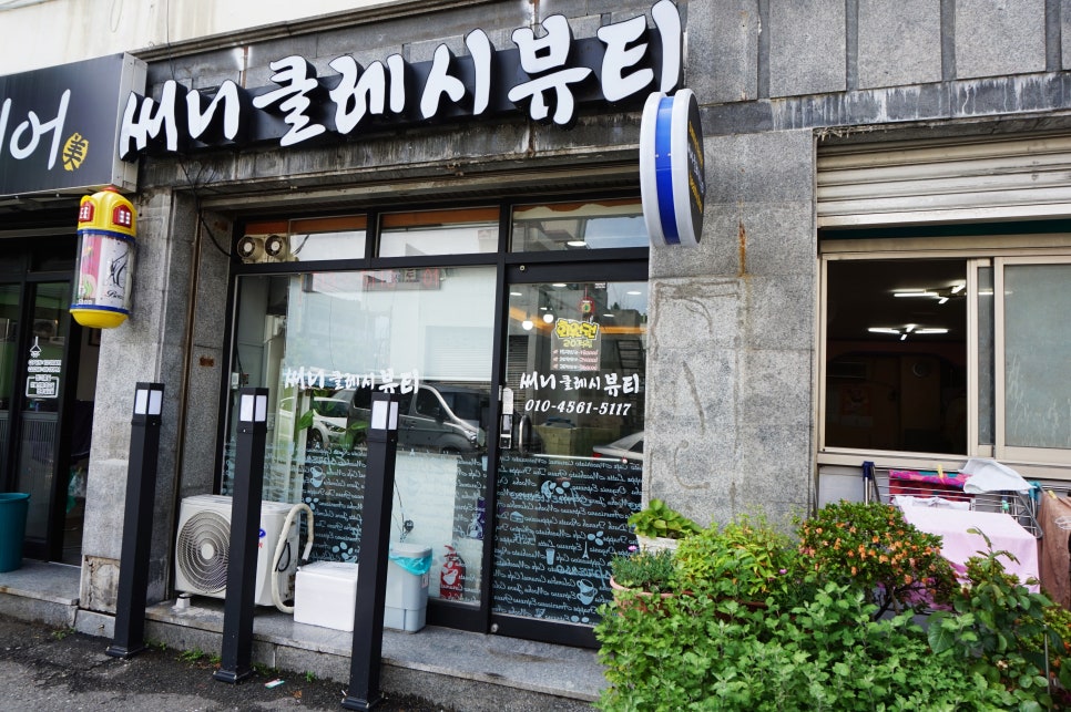 써니클레시 이미지