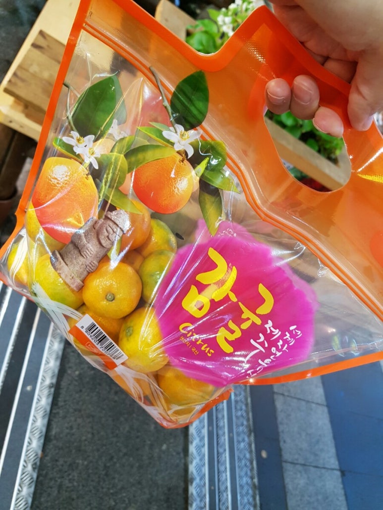 빽다방서귀포시청점 이미지