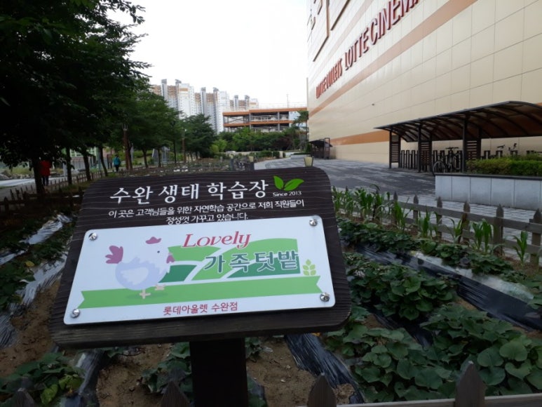 네마지기 이미지