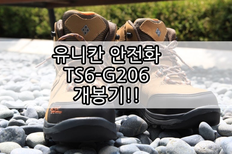 동명이앤지 이미지