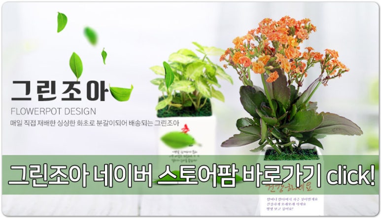 조아그린 이미지