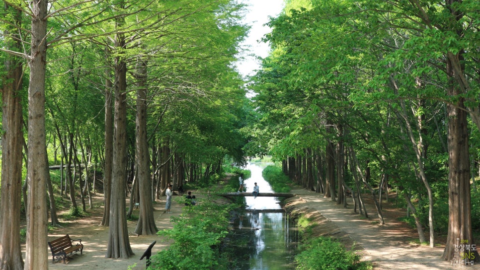산림과환경 이미지