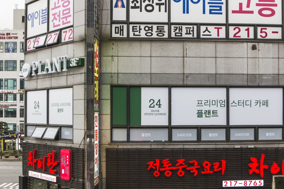 플랜트스터디카페영통 이미지