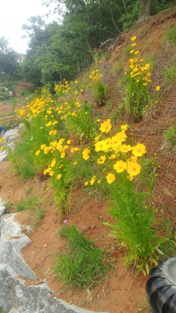 영미네민박 이미지