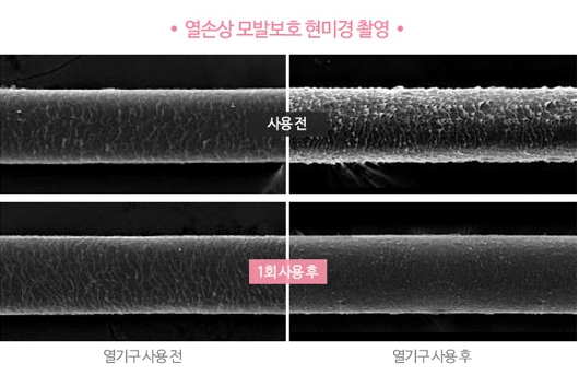 헤어퍼플 이미지
